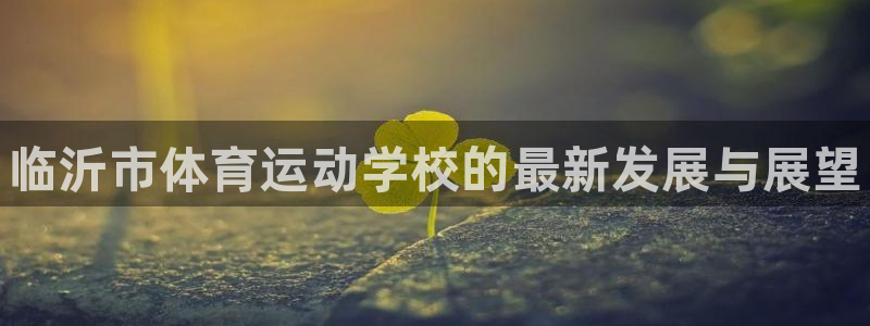 公海赌赌船官方正版app代理:临沂市体育运动学校的最新发展与